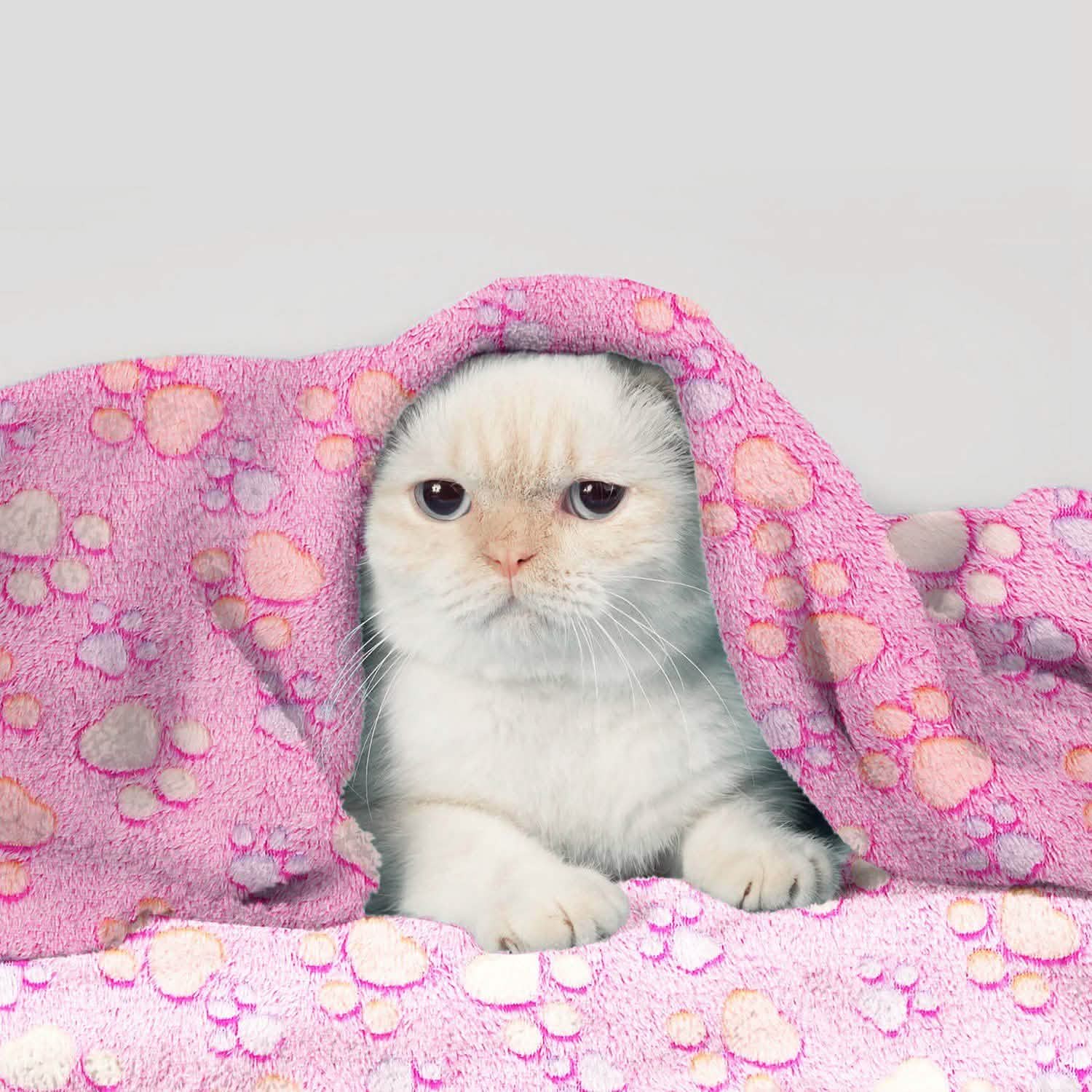 Fluffy Dog Cat Blanket