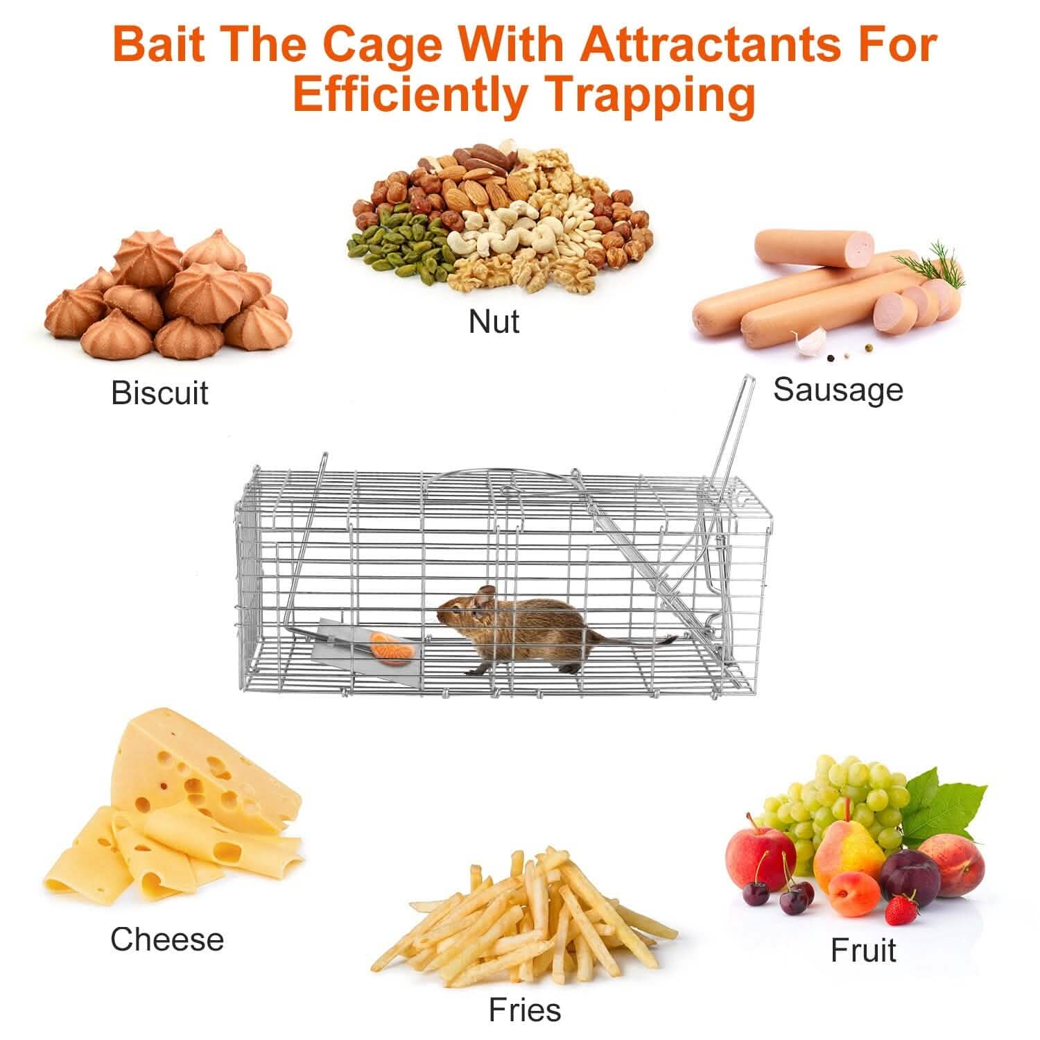 Piège à rat pliable, cage de capture vivante pour rongeurs (capture sans cruauté)