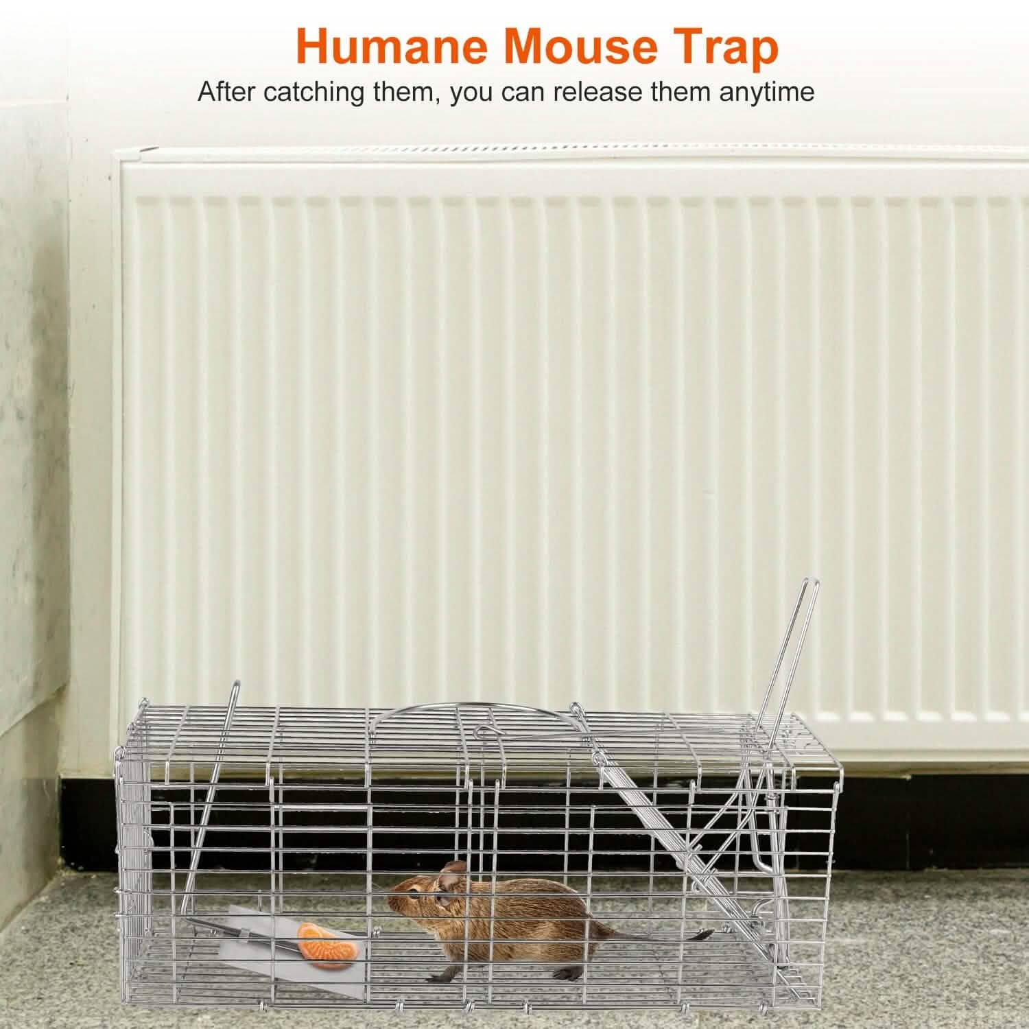 Piège à rat pliable, cage de capture vivante pour rongeurs (capture sans cruauté)