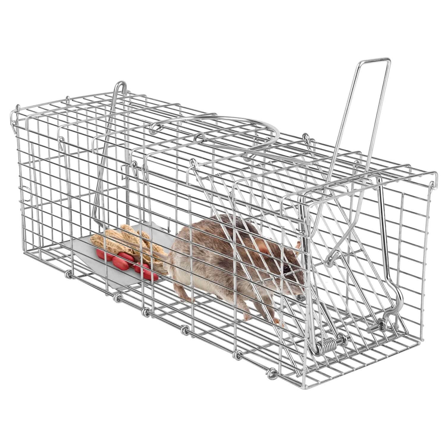 Piège à rat pliable, cage de capture vivante pour rongeurs (capture sans cruauté)
