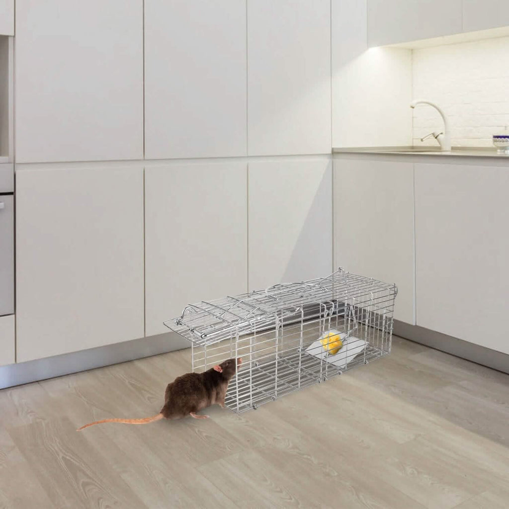 Piège à rat pliable, cage de capture vivante pour rongeurs (capture sans cruauté)