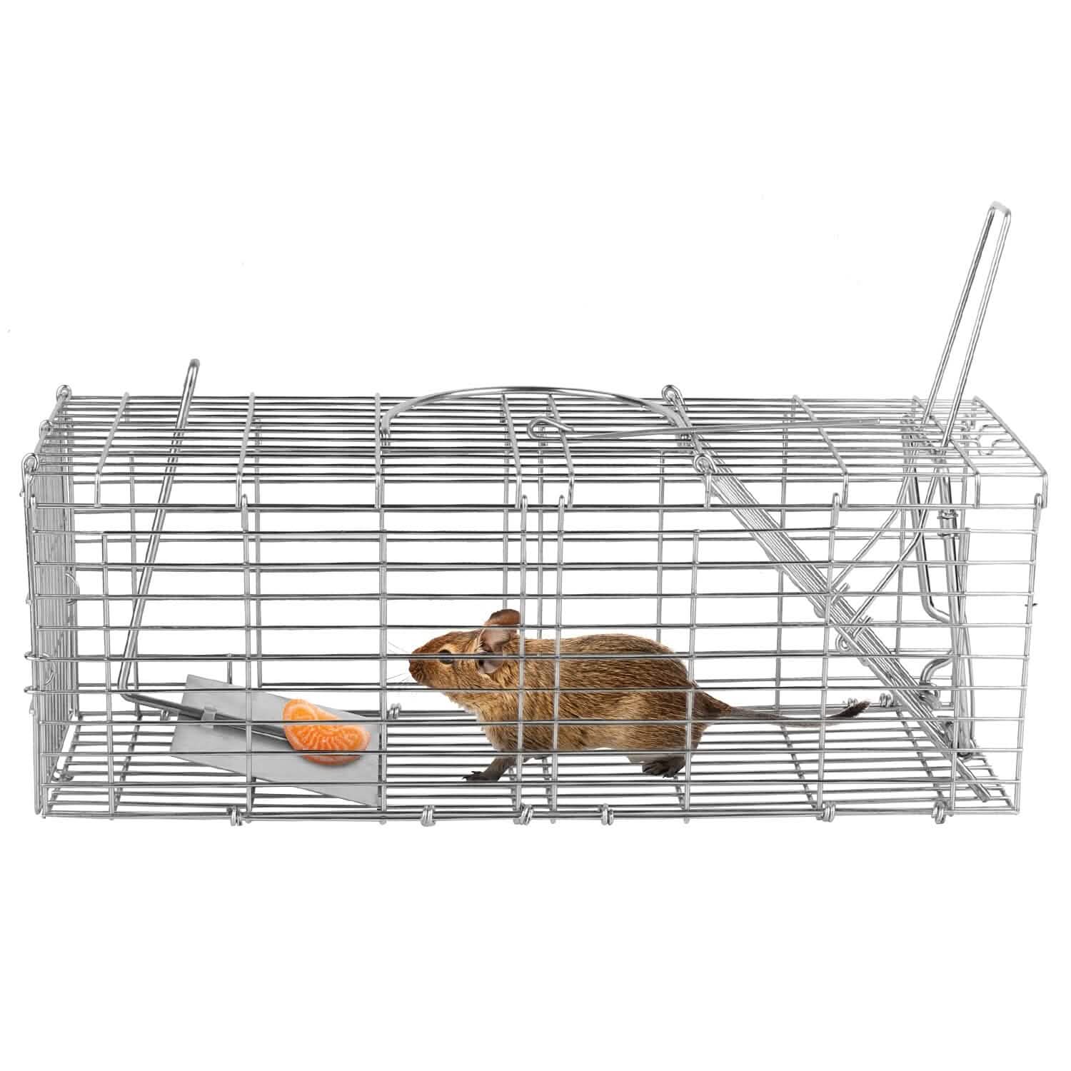 Piège à rat pliable, cage de capture vivante pour rongeurs (capture sans cruauté)
