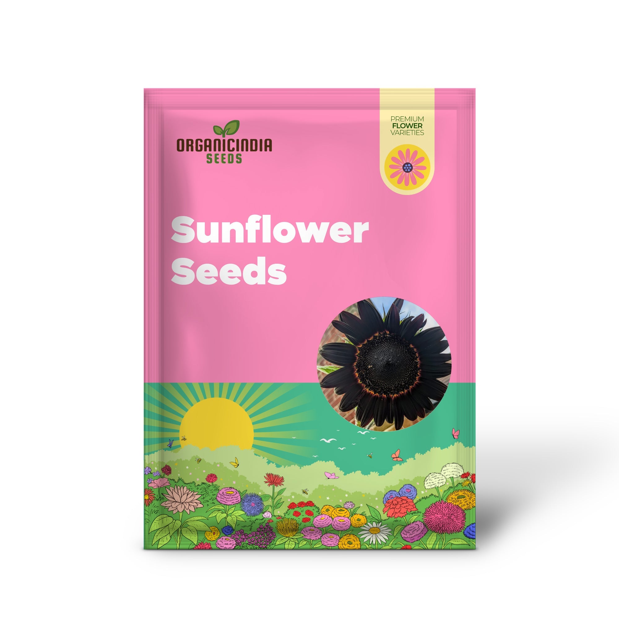 Graines de tournesol Noir Profond Frais pour la Plantation - Croissance de Jardin pour 50 Pièces