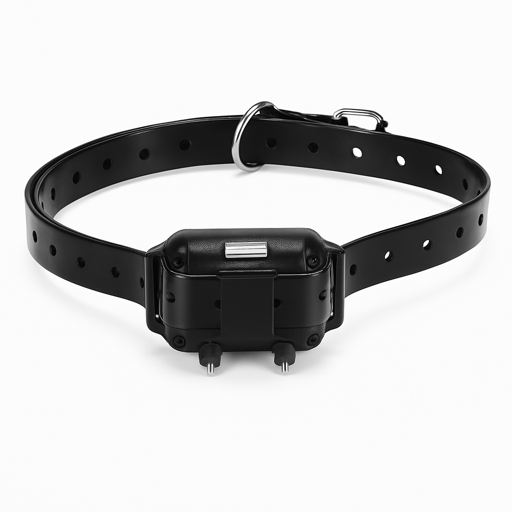 Dog Training Collar Receiver for Remote Training