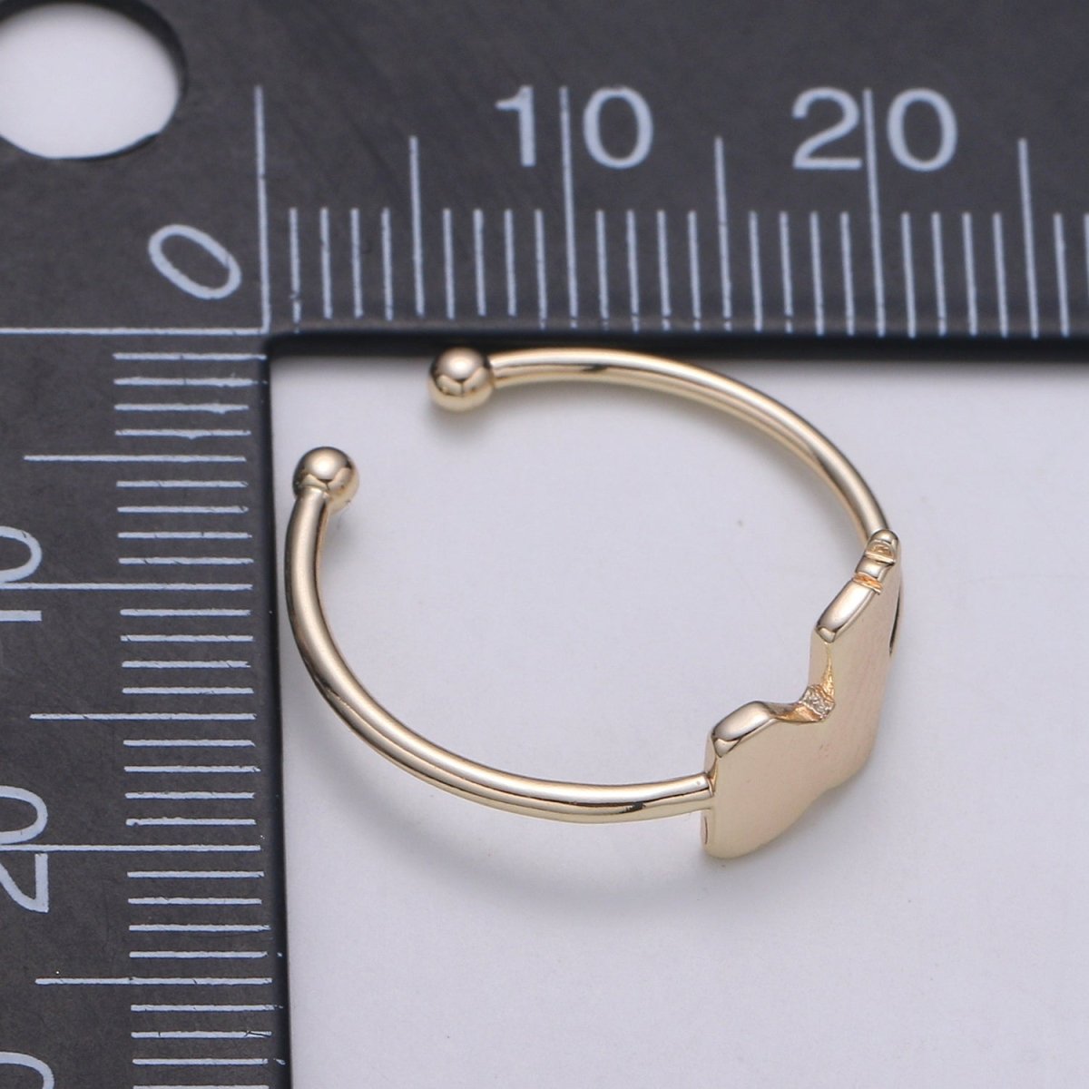 Gold Flake Gold Filled Adjustable Ring R-244