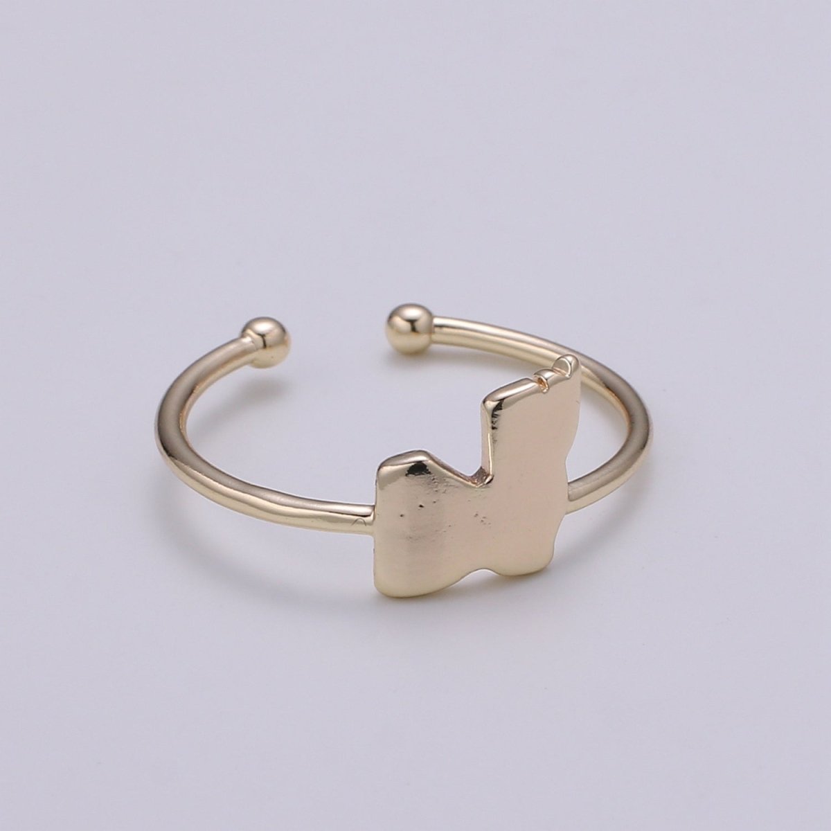 Gold Flake Gold Filled Adjustable Ring R-244