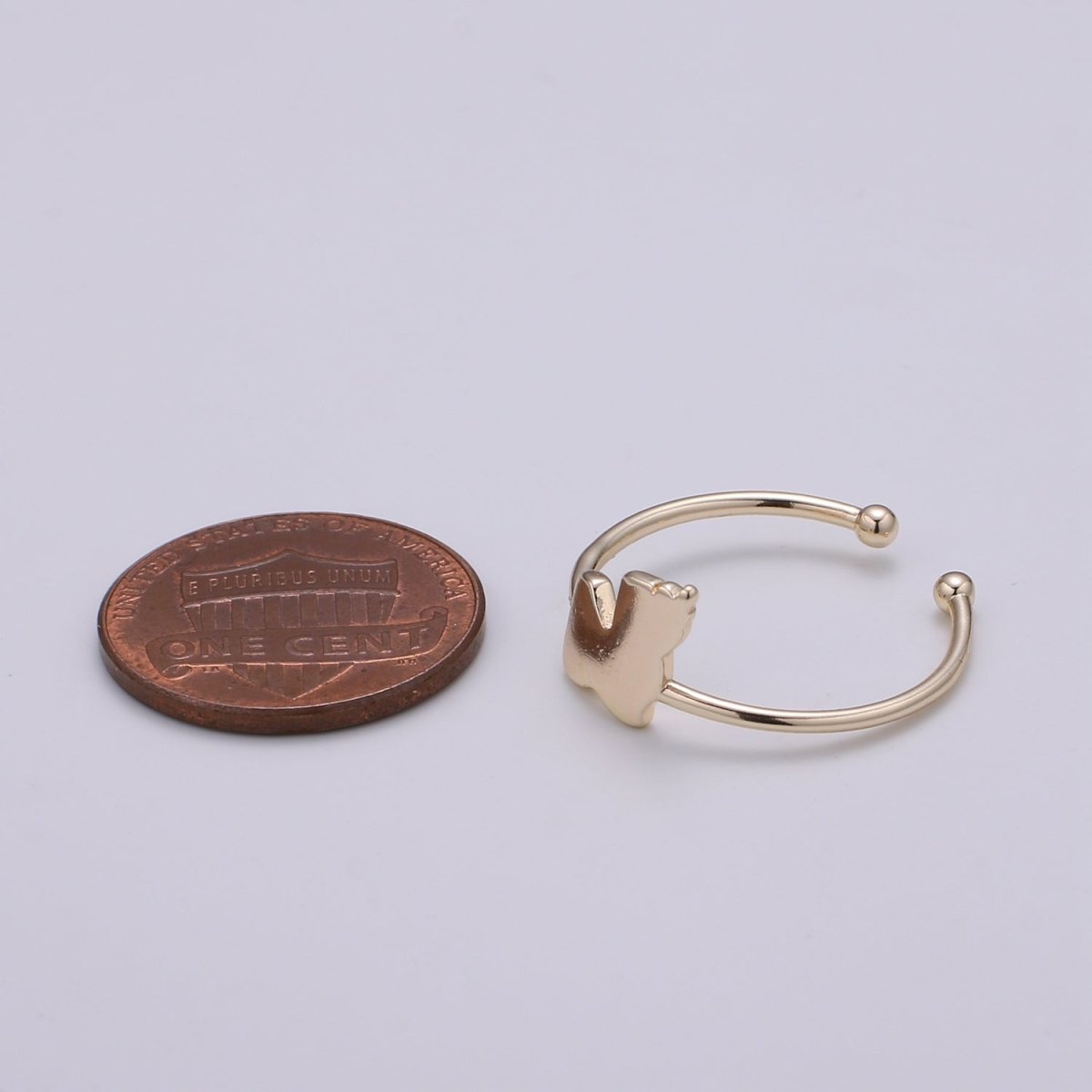 Gold Flake Gold Filled Adjustable Ring R-244