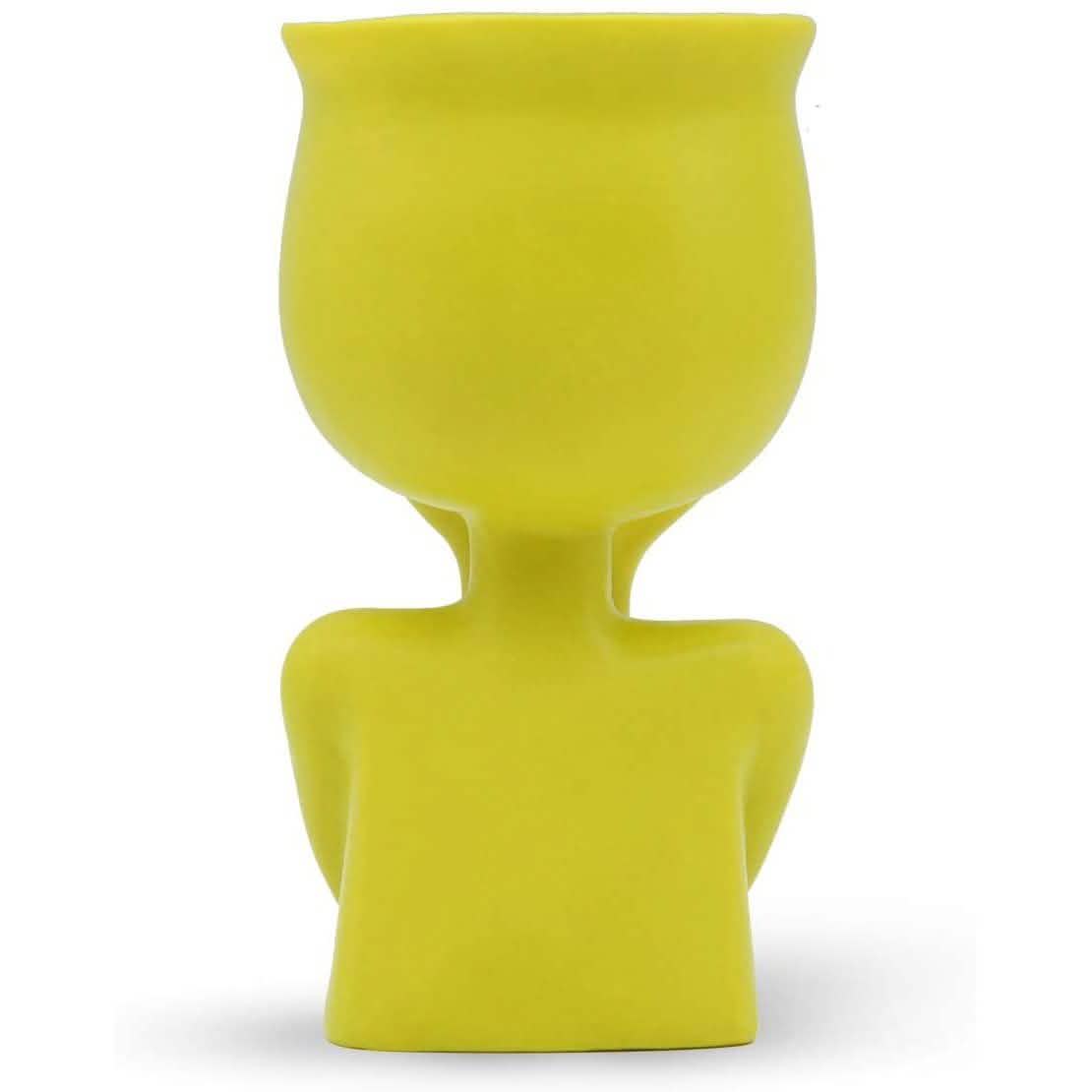 Greneric Character Portrait Flower Pot Resin Succulents Plant Pot