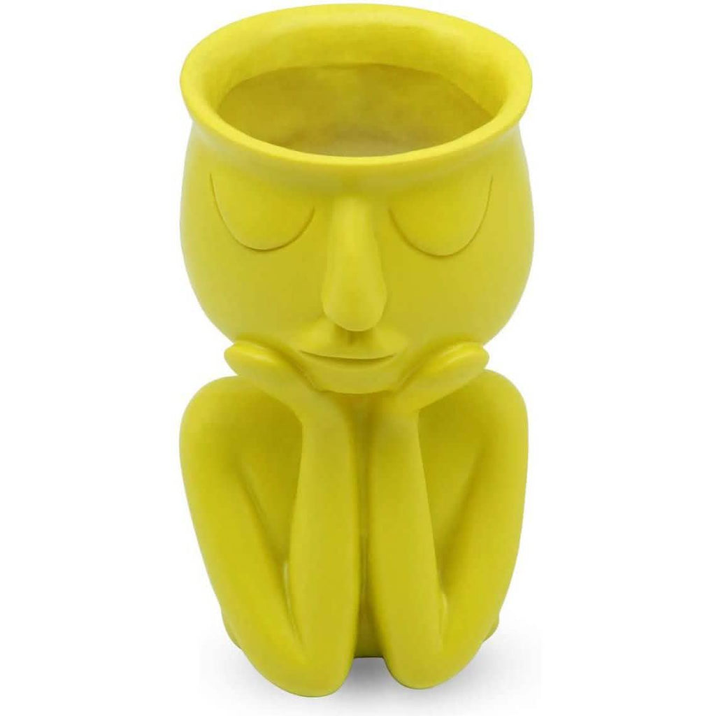 Greneric Character Portrait Flower Pot Resin Succulents Plant Pot