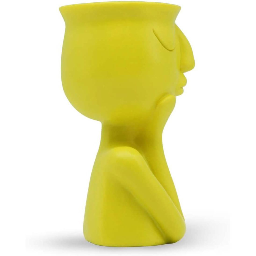 Greneric Character Portrait Flower Pot Resin Succulents Plant Pot