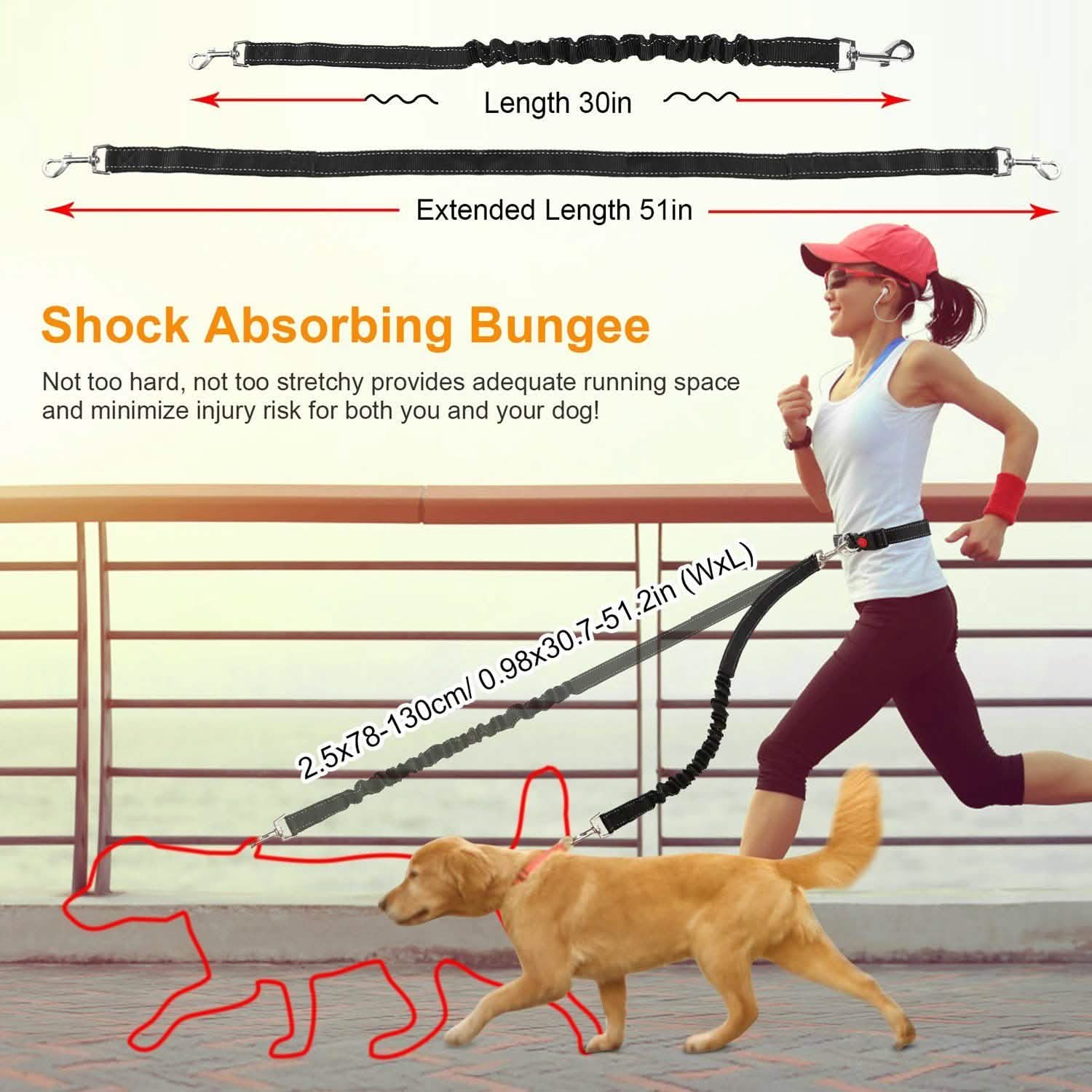 Ceinture Ventrale de Laisse Mains Libres pour Chien