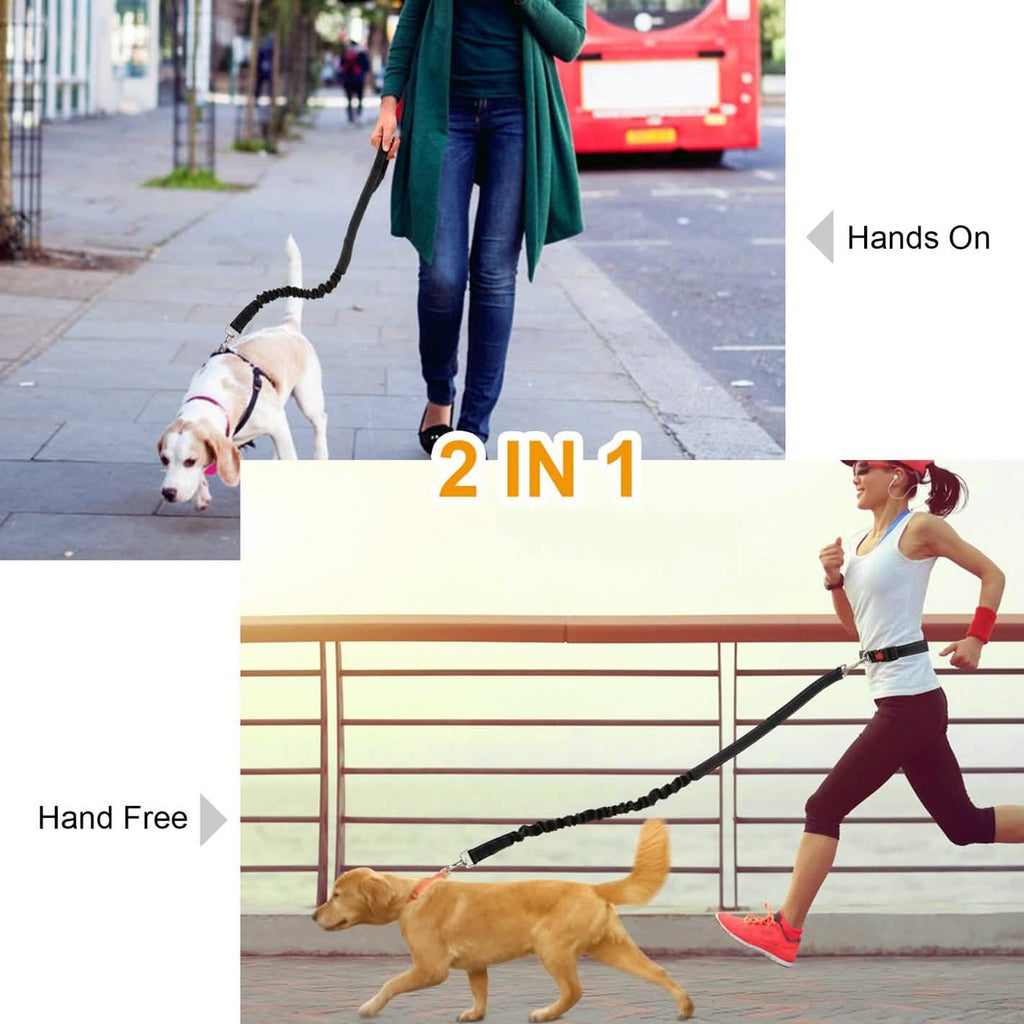 Ceinture Ventrale de Laisse Mains Libres pour Chien