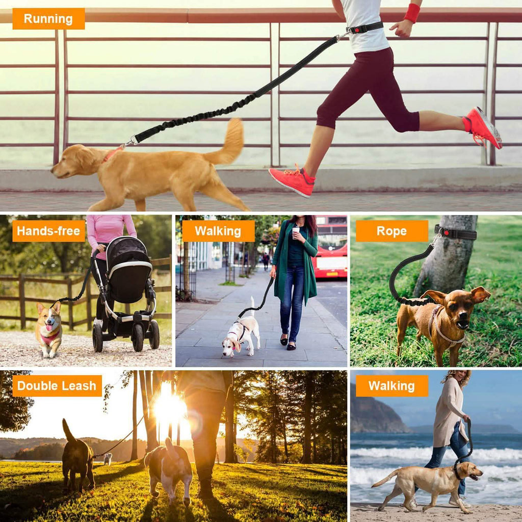 Ceinture Ventrale de Laisse Mains Libres pour Chien