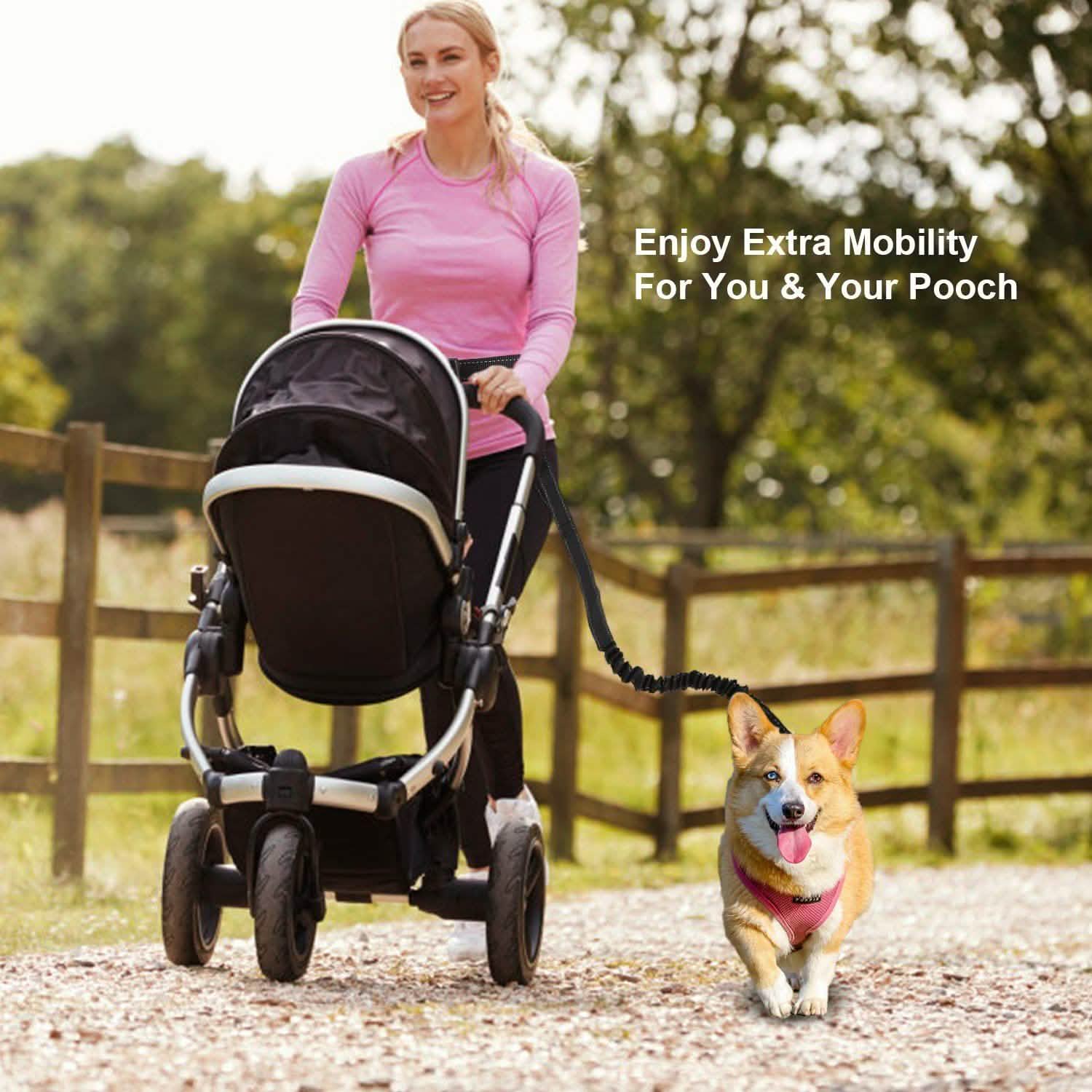 Ceinture Ventrale de Laisse Mains Libres pour Chien
