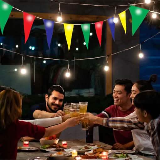Hearth and Haven Multi-Colored LED Bunting Outdoor Lighting