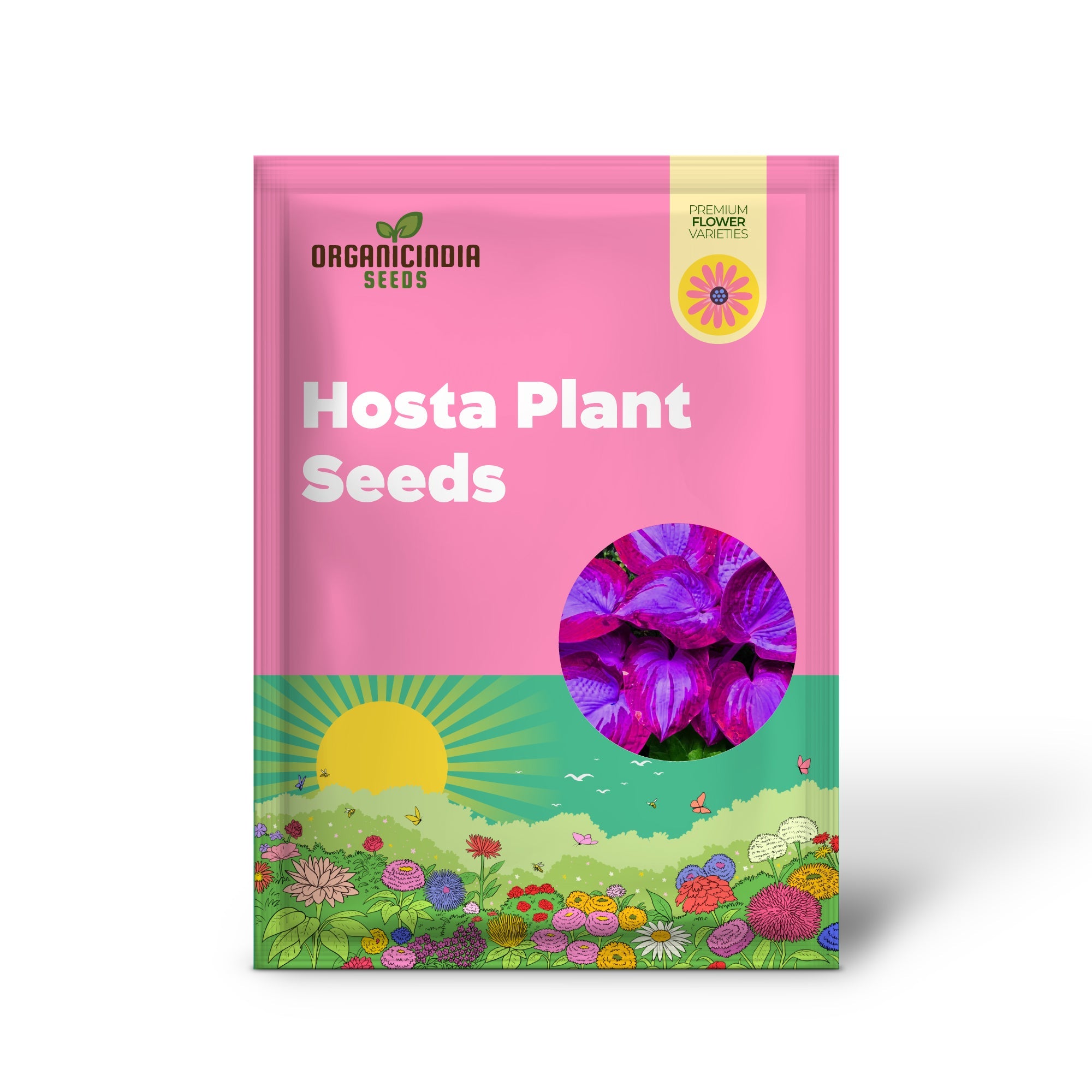 Rare Blue And Purple Hosta Seeds, Easy to Grow Perennial Shade Garden Beauties