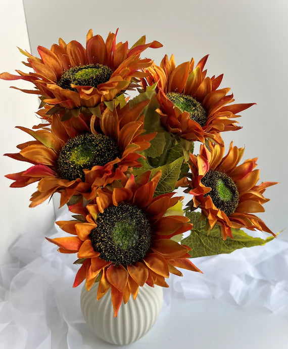 Graines de Tournesol Orange Doré – Des fleurs riches et vibrantes pour jardins et paysages