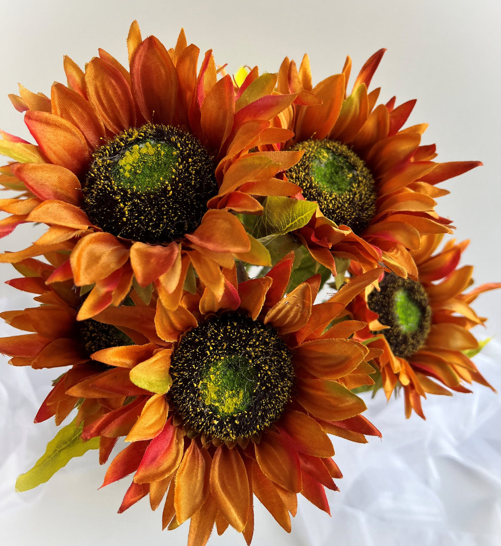 Graines de Tournesol Orange Doré – Des fleurs riches et vibrantes pour jardins et paysages