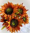 Graines de Tournesol Orange Doré – Des fleurs riches et vibrantes pour jardins et paysages