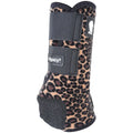 Legacy2 Hind Cheetah