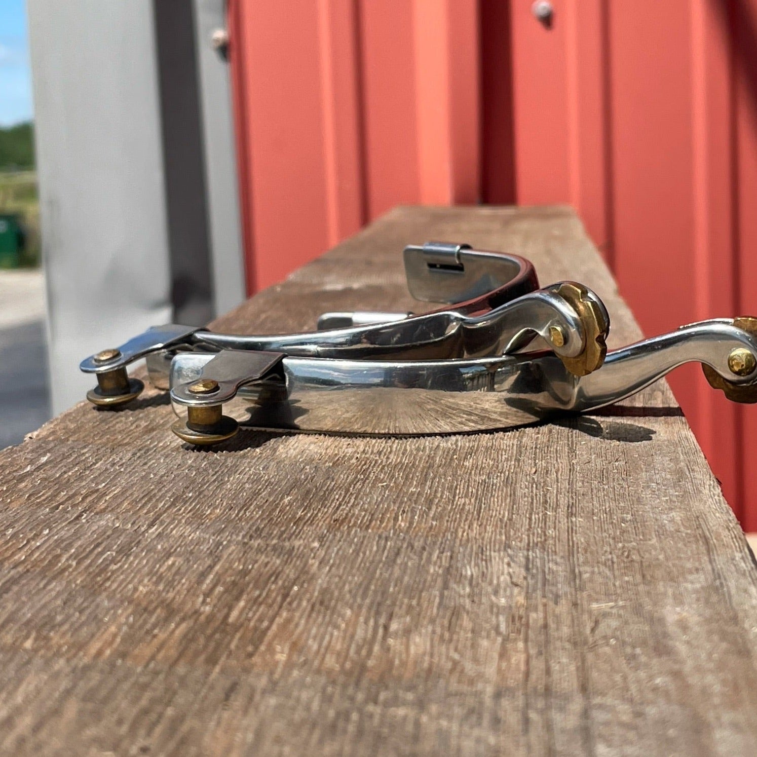 Stainless Steel All Around Spur