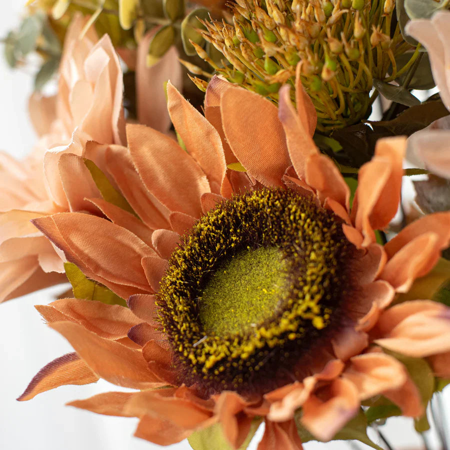 Graines de tournesol Peach Blush – Fleurs douces aux tons chauds pour jardins et bouquets