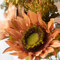 Graines de tournesol Peach Blush – Fleurs douces aux tons chauds pour jardins et bouquets