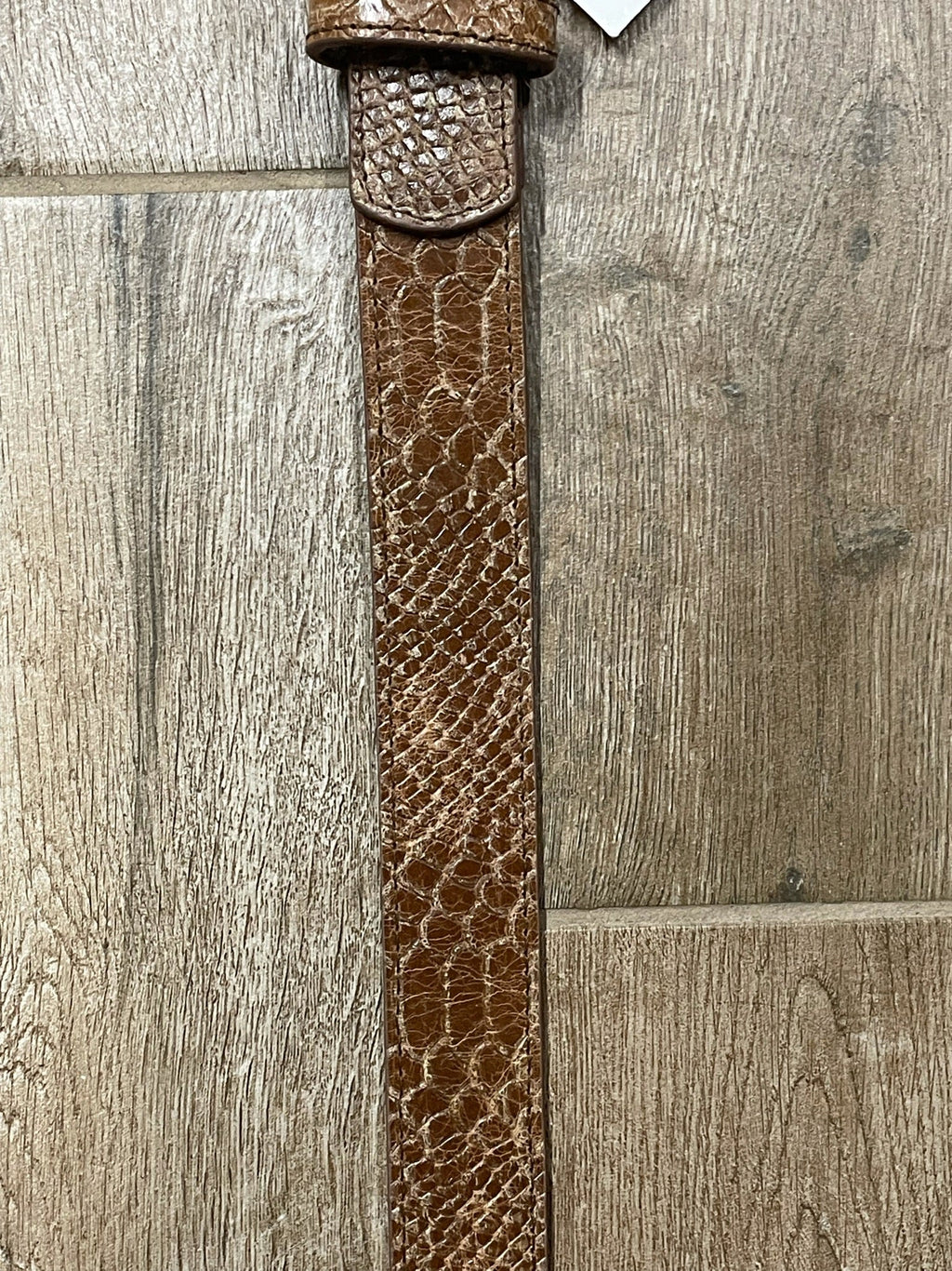 Lizard Embossed | Twisted X Mens