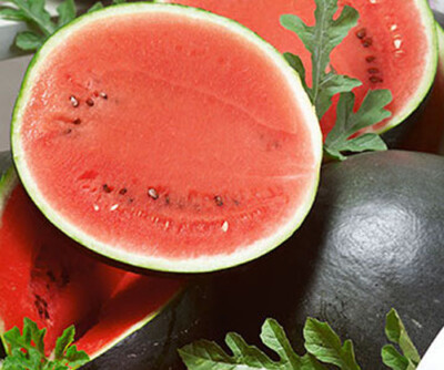 25 Seeds Sugar Baby Watermelon (Citrullus lanatus) – Sweet Icebox Watermelon for Home Gardens