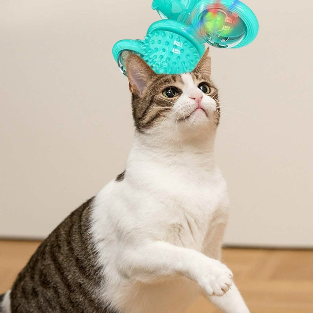 室内猫用キャットニップとLEDボール付きインタラクティブマッサージかきむしりくすぐりおもちゃ