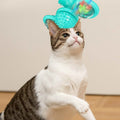 室内猫用キャットニップとLEDボール付きインタラクティブマッサージかきむしりくすぐりおもちゃ