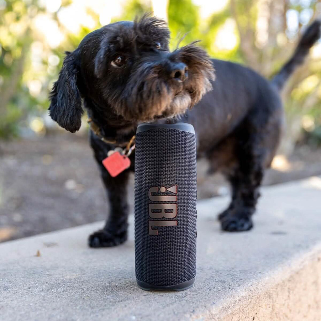 JBL Flip 6 ポータブル Bluetoothスピーカー（整備済み）