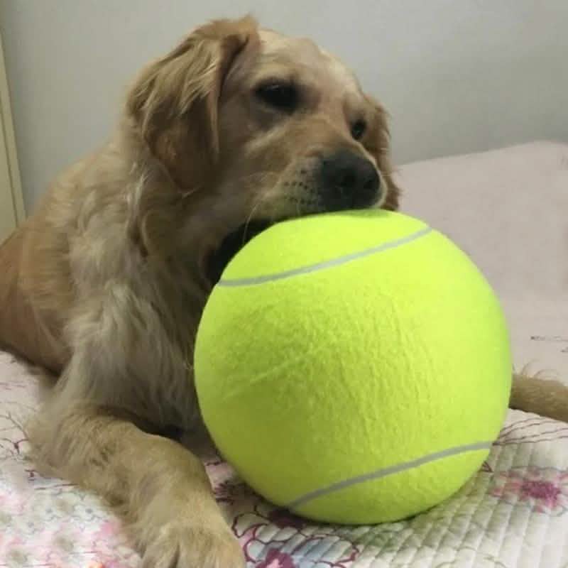 Balle de tennis géante pour autographes, chiens et enfants