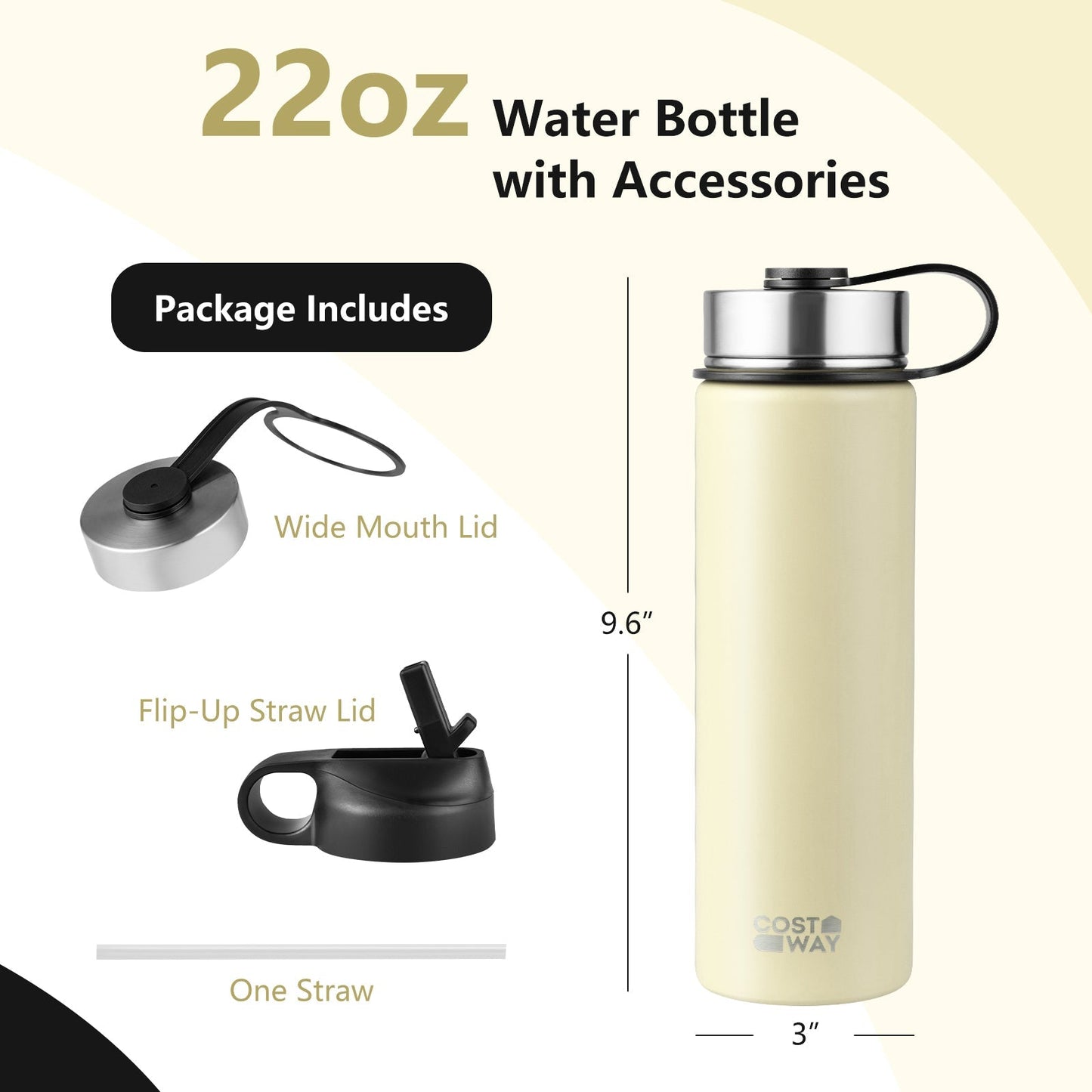 22 Oz Double-walled Insulated Stainless Steel Water Bottle with 2 Lids and Straw