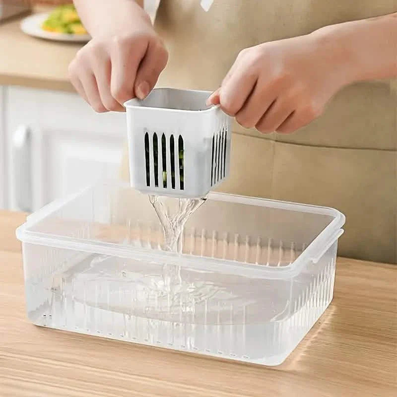 Kitchen Scallion Storage Box