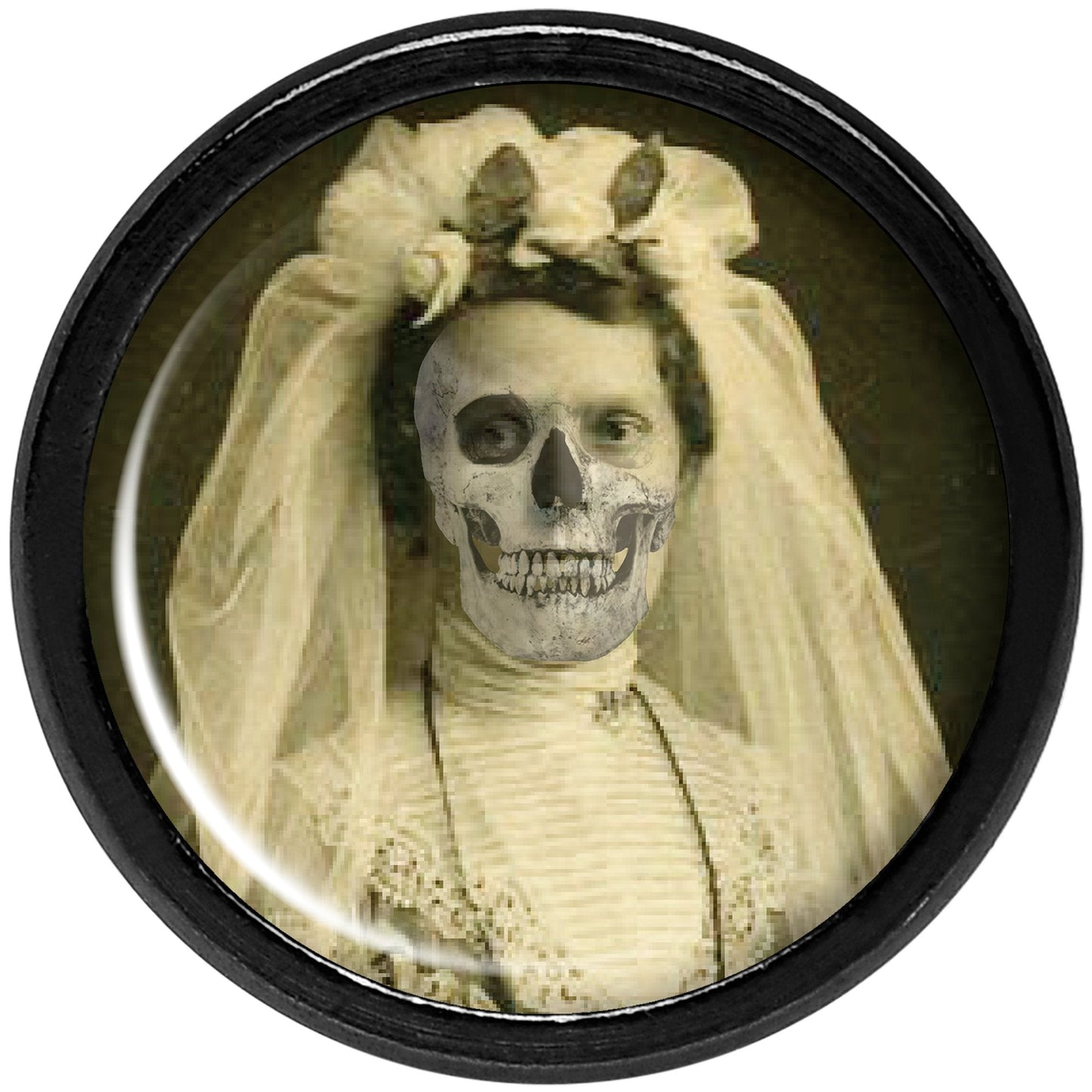 Undead Bride and Groom Halloween Black Anodized Plug Set 0G