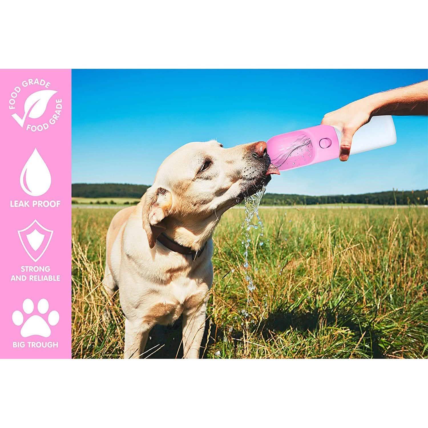 Distributeur d'eau anti-fuite avec gamelle pour animaux de compagnie