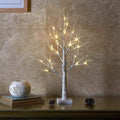 LED Christmas Birch Home Lights