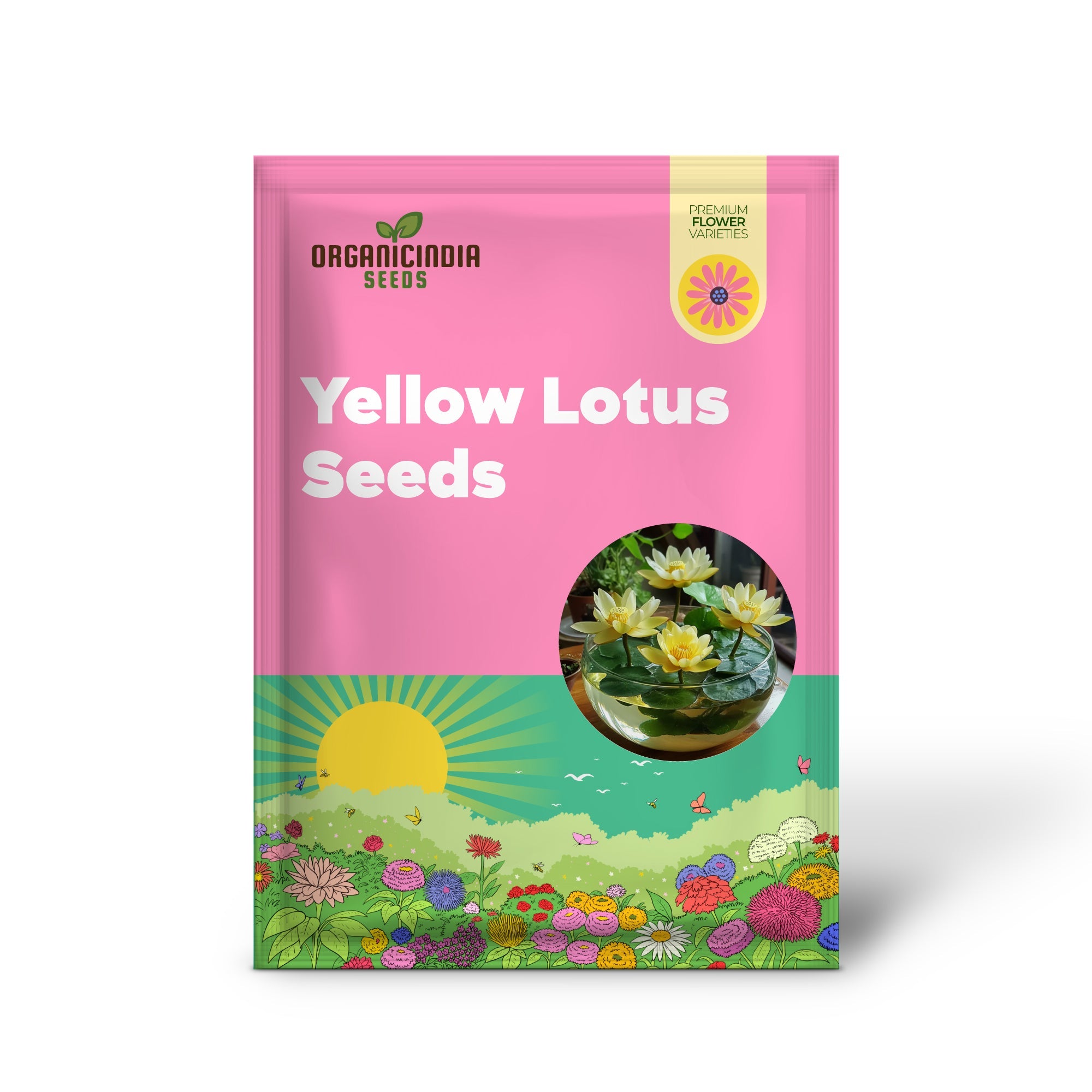 Graines de lotus jaune – Fleurs aquatiques éclatantes pour bassins et jardins aquatiques