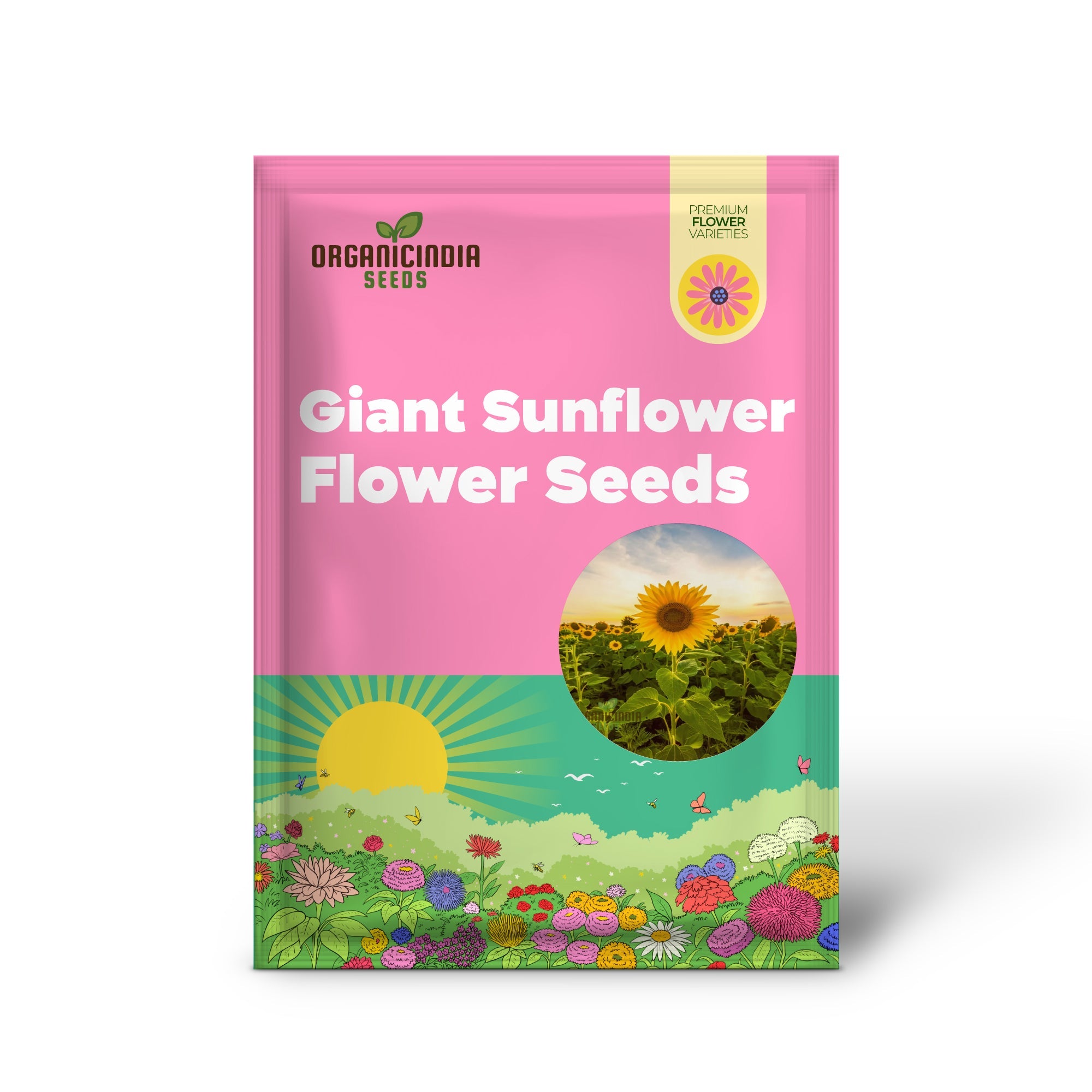 Graines comestibles de tournesol géant – Cultivez des tournesols géants pour les jardins, les espaces pollinisateurs et la récolte de graines
