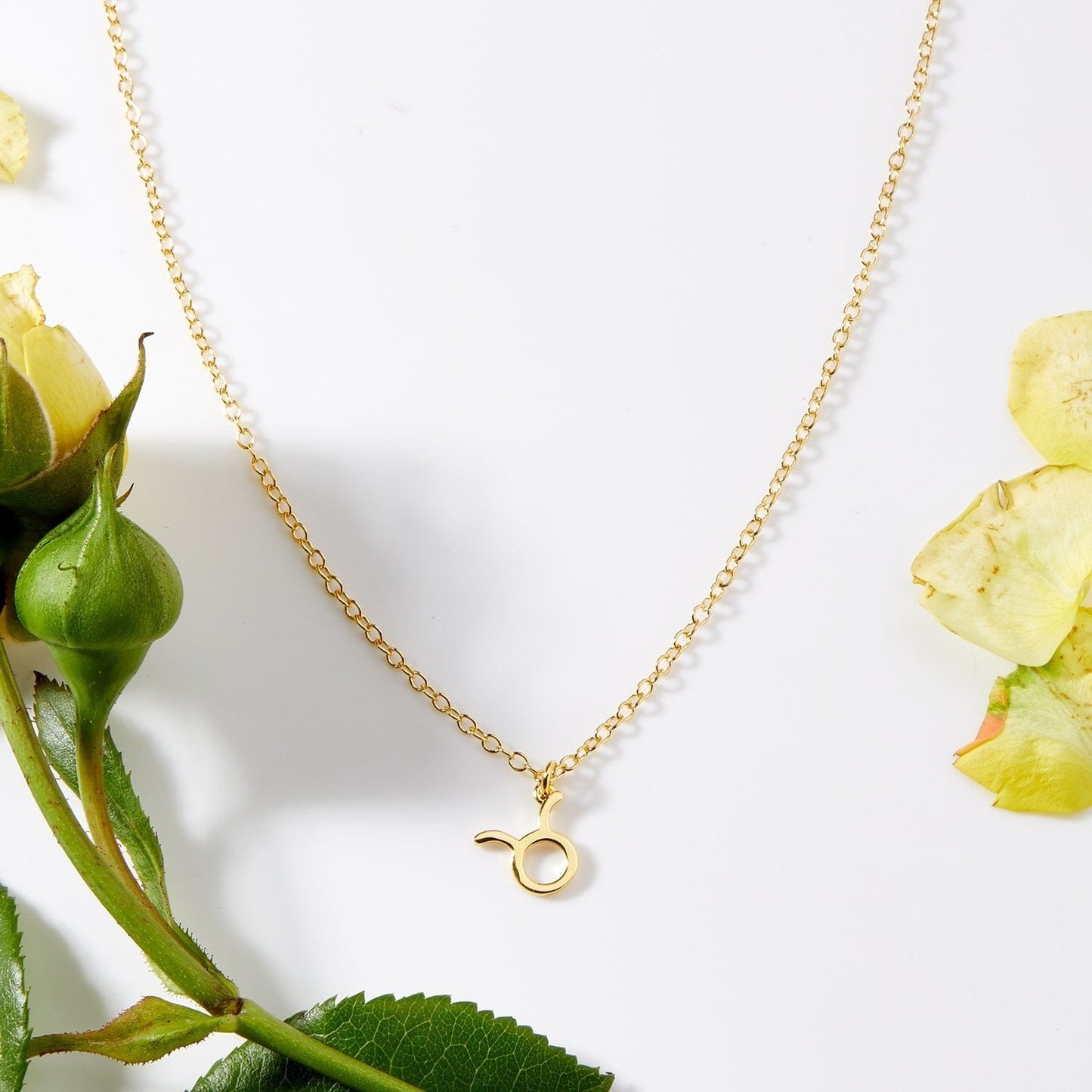May 17th Taurus Necklace