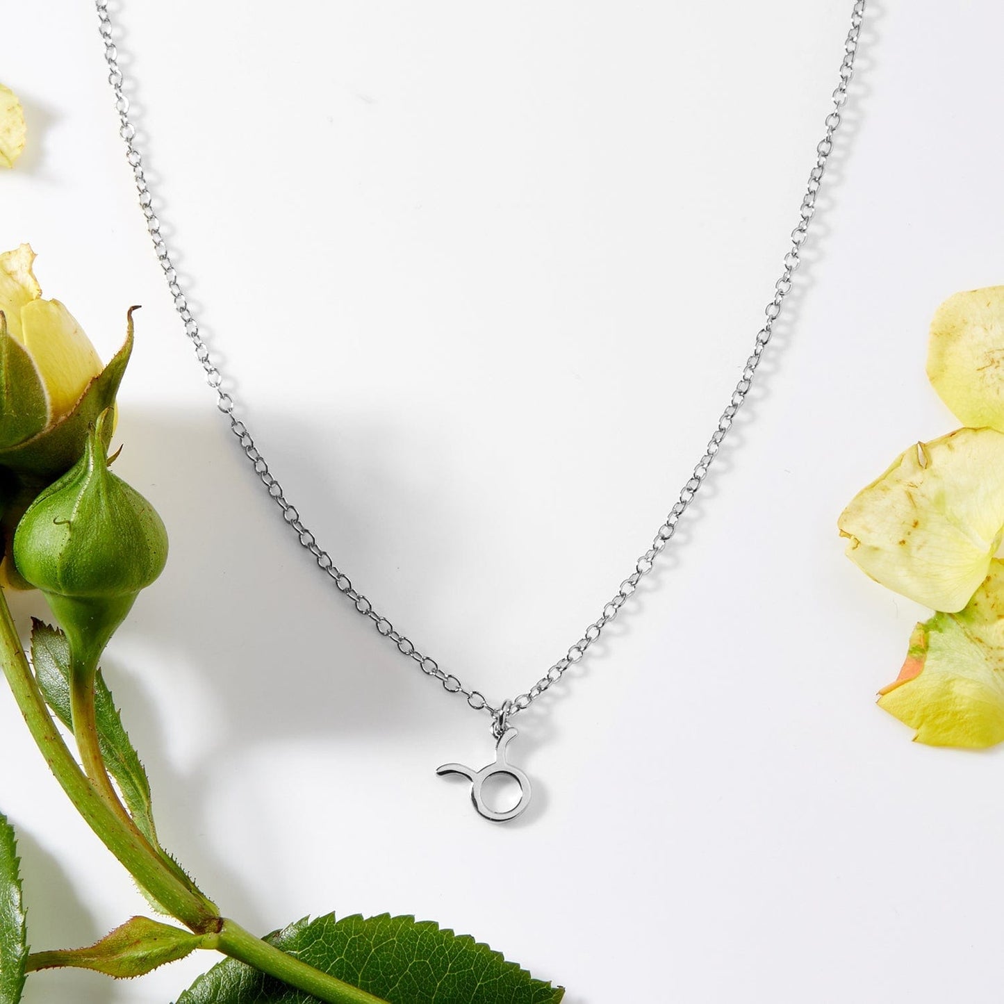 May 9th Taurus Necklace