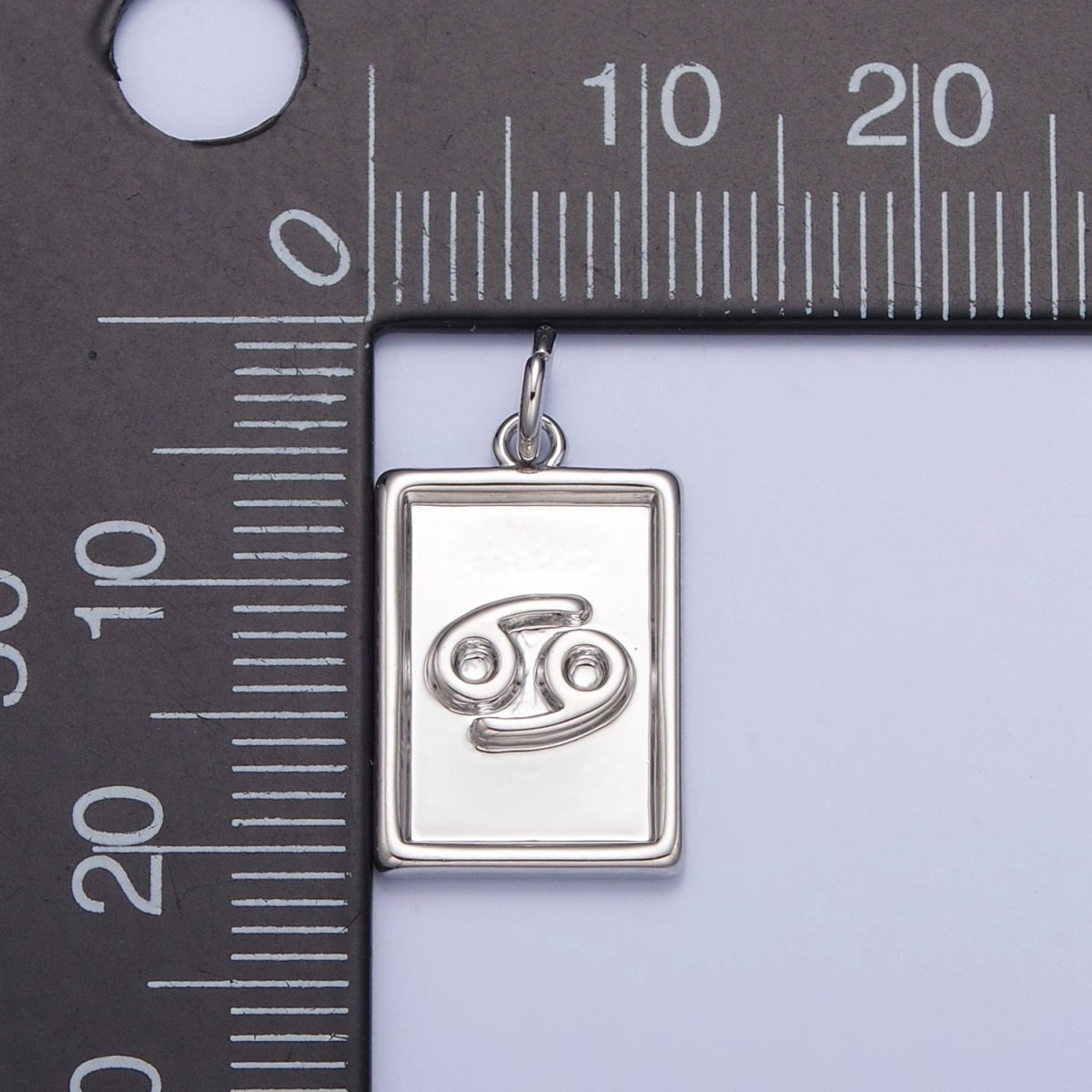 Mini Silver Tag Zodiac Charm Dainty Astrological Zodiac Signs Add on Charm A-A1433-A-A1438