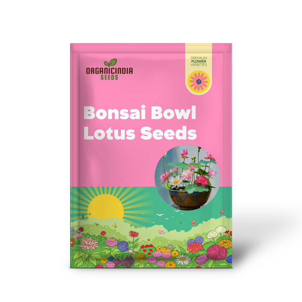 Mixed Bowl Lotus Seeds for Planting