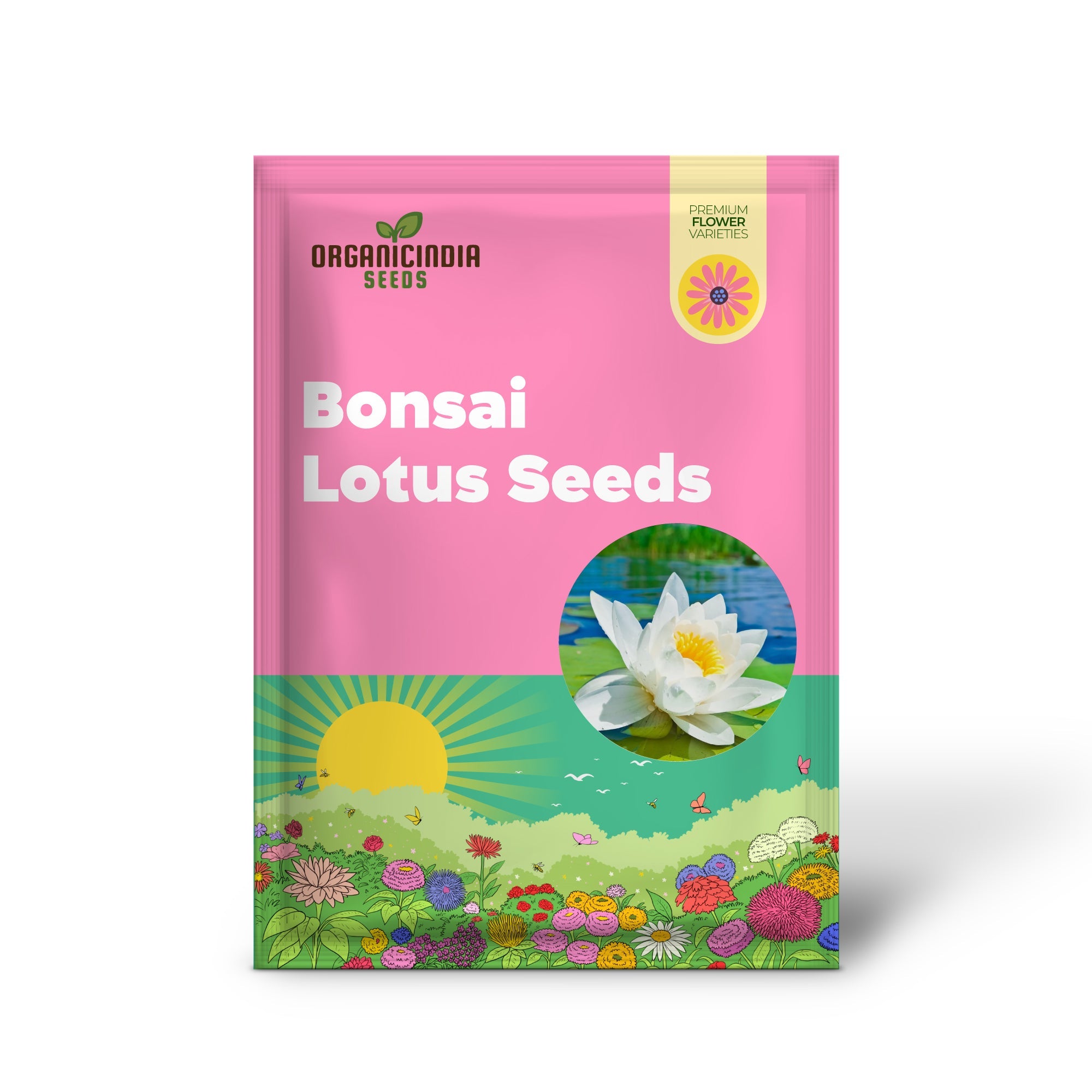 Graines de lotus (graines de lotus bonsaï à bouche ouverte) - Fleurs de nénuphar décoratives compactes