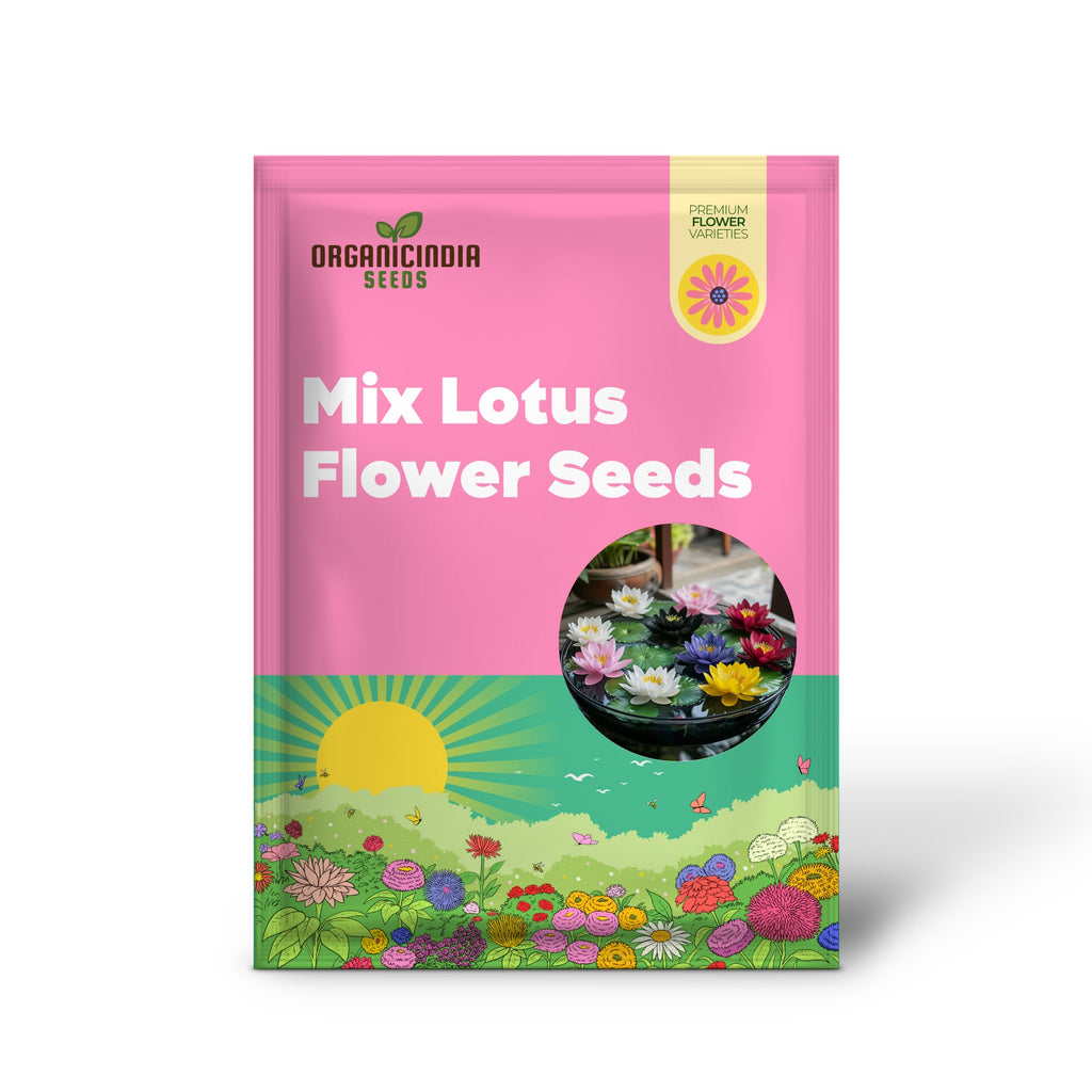 Lotus Seeds (Premium Mix Lotus Flower Seeds) - Vibrant Mixed Bloom Colors