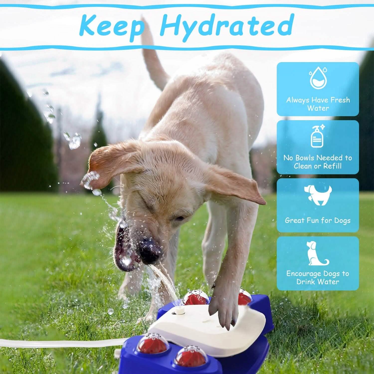 Multifunctional Automatic Pet Water Dispenser Outdoor Step-on Activated Sprinkler