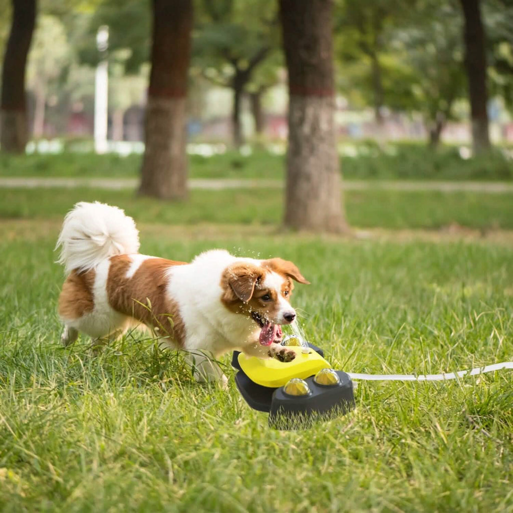 Multifunctional Automatic Pet Water Dispenser Outdoor Step-on Activated Sprinkler