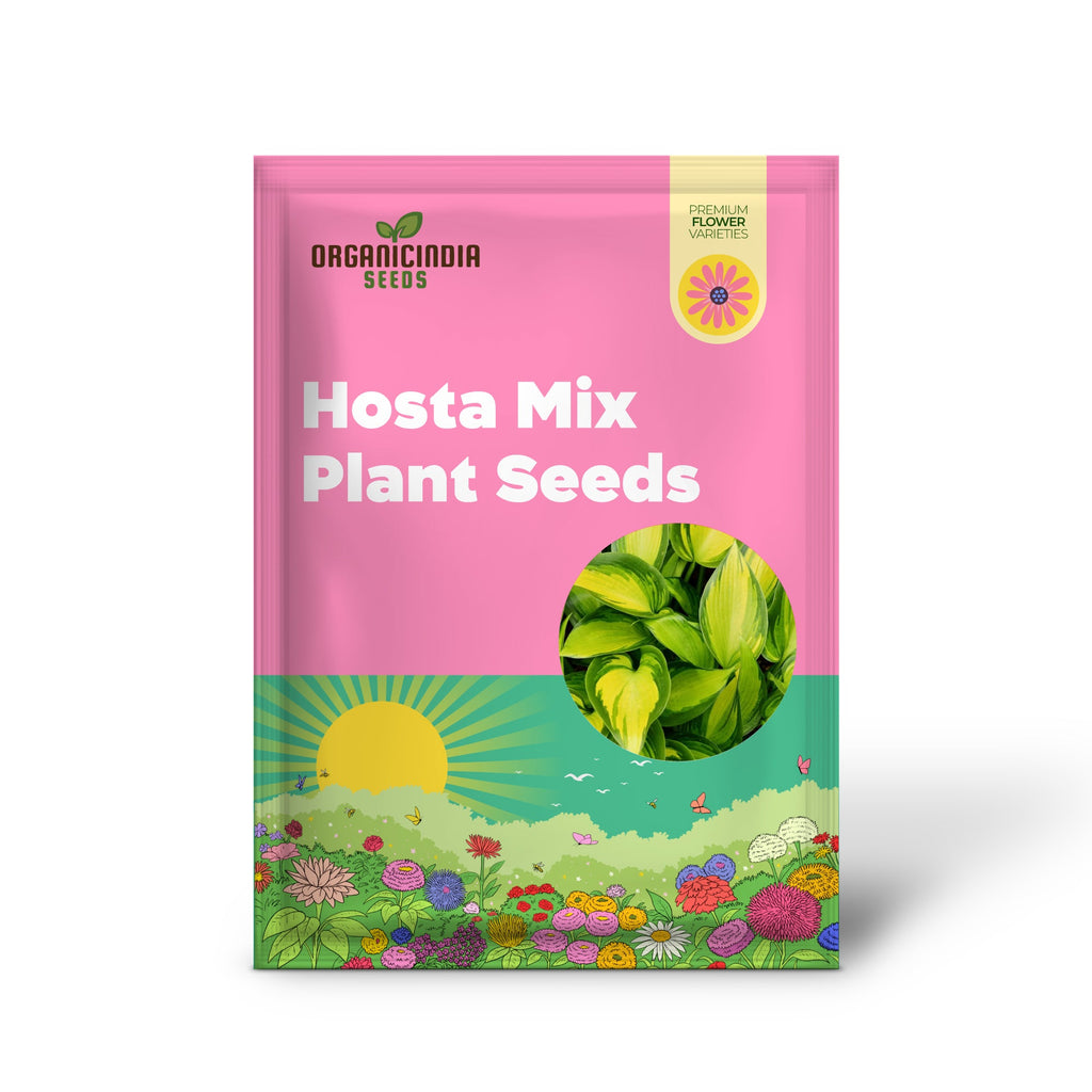 Hosta Seeds (Mixed Color Hosta Seeds) - Easy-Care Perennial for Pots and Gardens