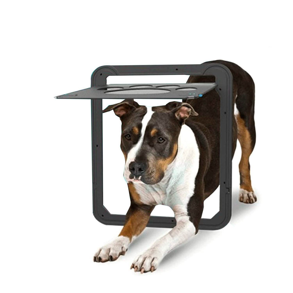 Porte Moustiquaire Magnétique pour Chien OWNPETS